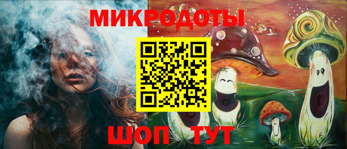 Псилоцибиновые грибы Северск