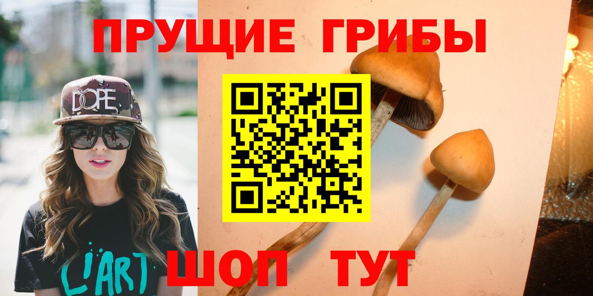 Псилоцибиновые грибы MAGIC MUSHROOMS  где продают   Северск  Вход с VPN 